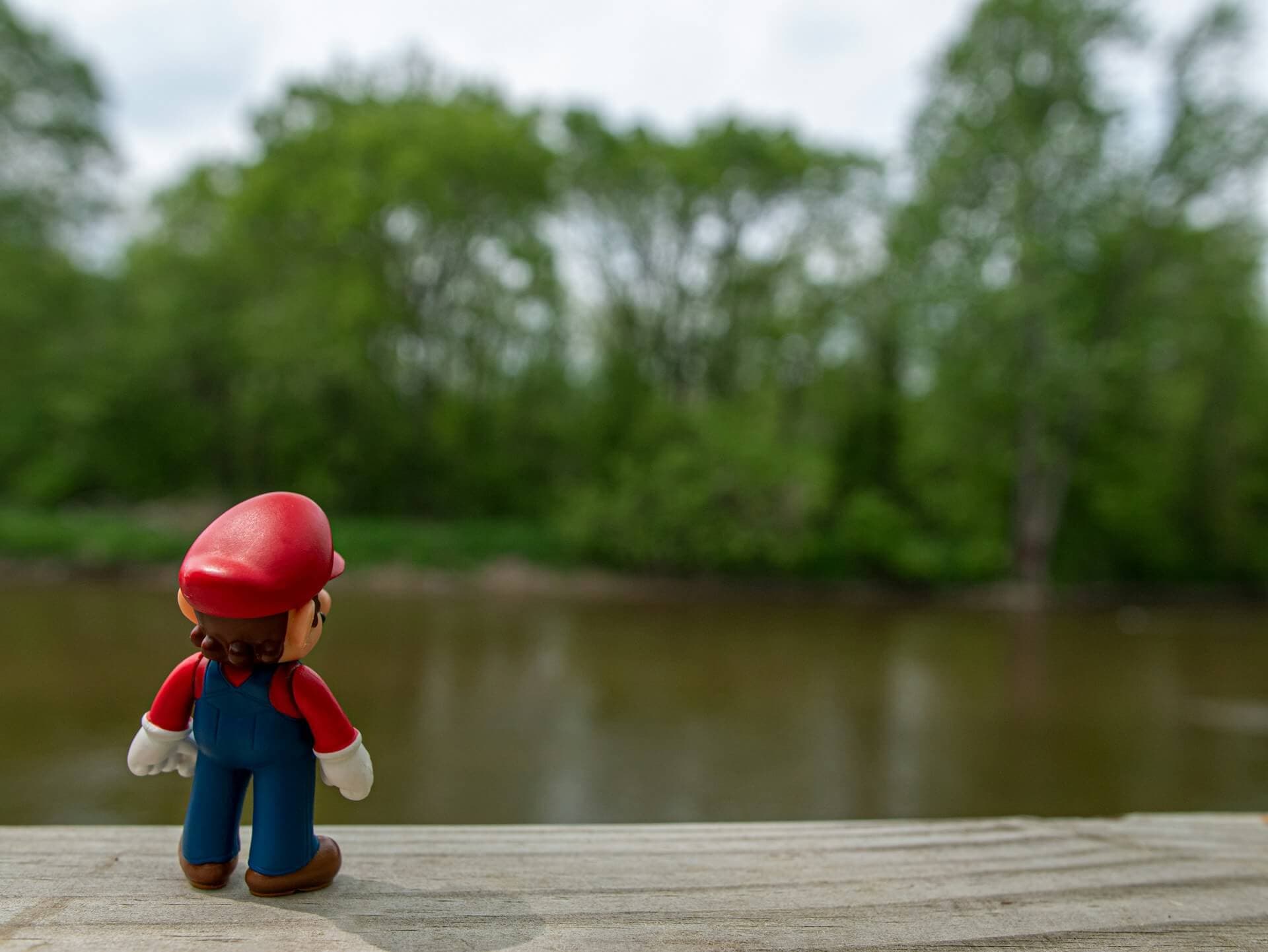 Waldspiele für Kinder