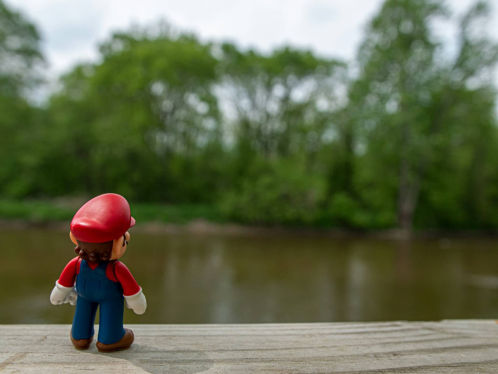 Waldspiele für Kinder